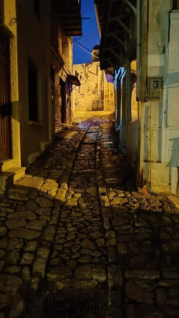 Δεσποτικον Αντωνοπουλου, Ξενωνας Ξενοδοχείο Δημητσάνα Εξωτερικό φωτογραφία